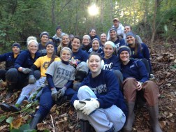 ETSU Softball Team: Job Done